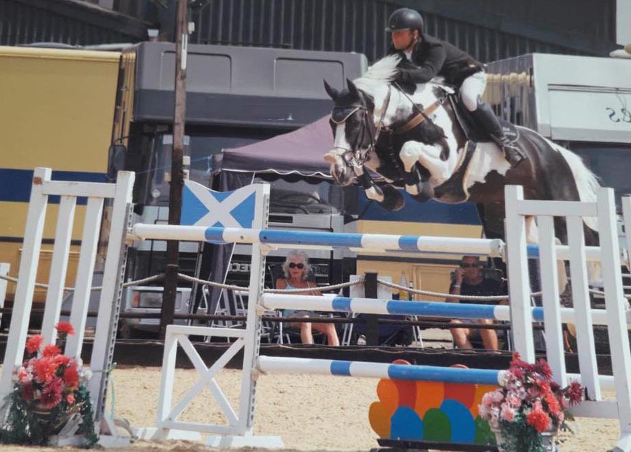 High Offley Fernando Coloured Sport Horse Stallion Stable Express